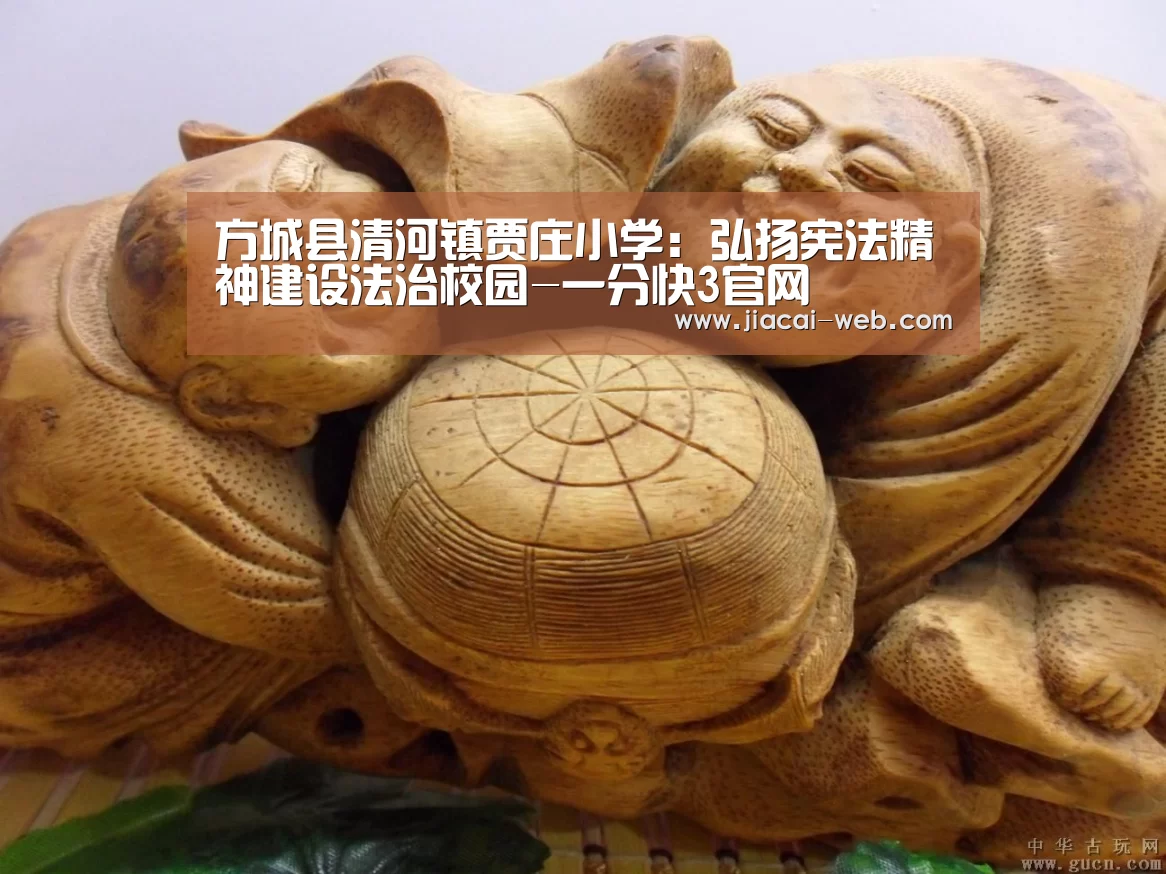 方城县清河镇贾庄小学:弘扬宪法精神建设法治校园-一分快3官网(图3) 一分快3