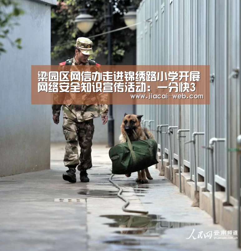 梁园区网信办走进锦绣路小学开展网络安全知识宣传活动:一分快3开奖查询(图1) 一分快3走势分析